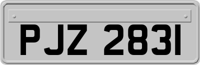 PJZ2831