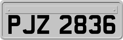 PJZ2836