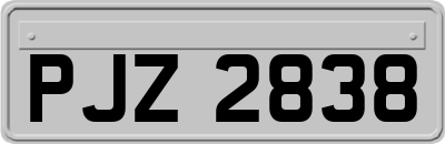 PJZ2838