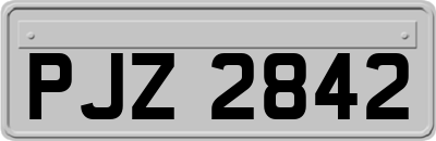 PJZ2842
