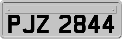 PJZ2844