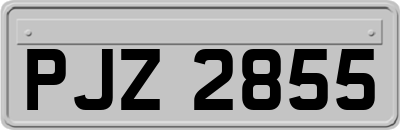 PJZ2855