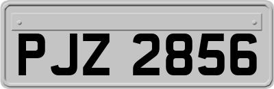 PJZ2856