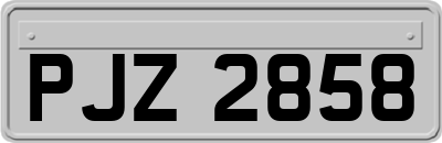 PJZ2858