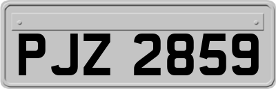 PJZ2859