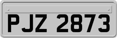 PJZ2873