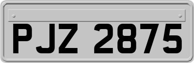 PJZ2875