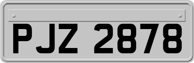 PJZ2878
