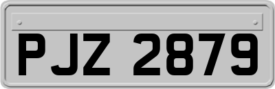 PJZ2879