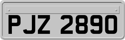 PJZ2890