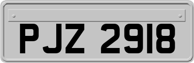 PJZ2918