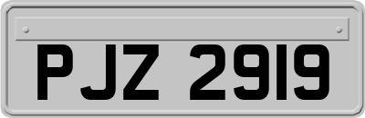PJZ2919