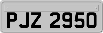 PJZ2950