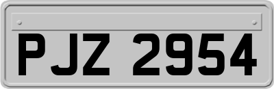 PJZ2954