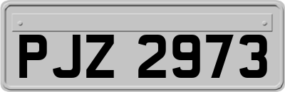 PJZ2973