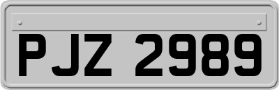 PJZ2989