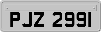 PJZ2991