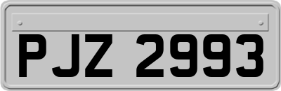 PJZ2993