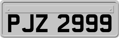 PJZ2999