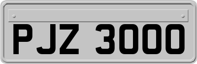 PJZ3000