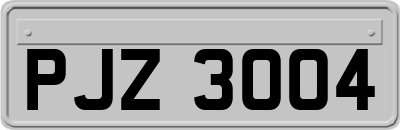 PJZ3004