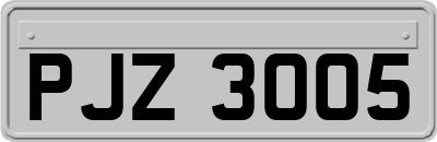 PJZ3005