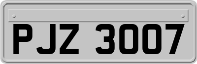PJZ3007