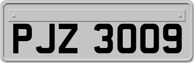 PJZ3009