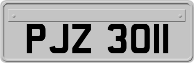 PJZ3011