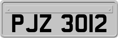 PJZ3012