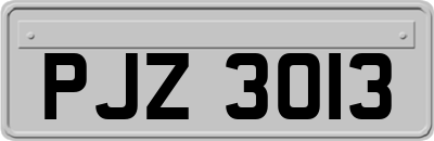 PJZ3013