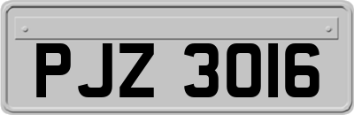 PJZ3016
