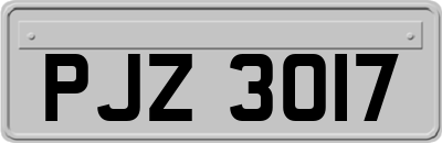 PJZ3017