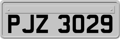 PJZ3029