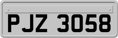 PJZ3058