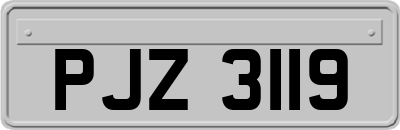 PJZ3119