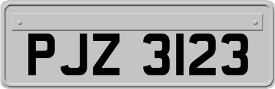 PJZ3123