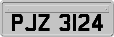 PJZ3124