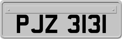 PJZ3131