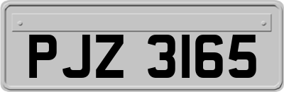 PJZ3165