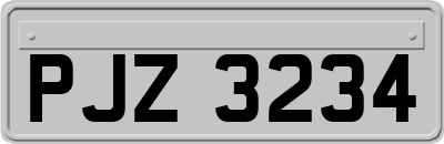 PJZ3234