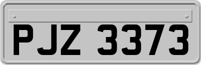 PJZ3373