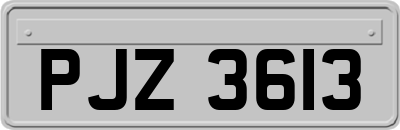 PJZ3613