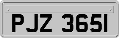 PJZ3651
