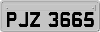 PJZ3665