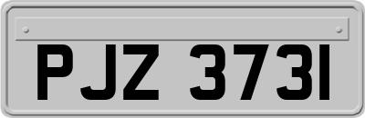 PJZ3731