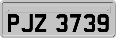 PJZ3739