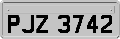 PJZ3742