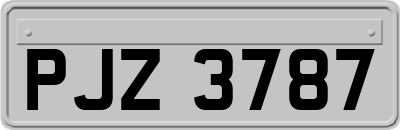 PJZ3787