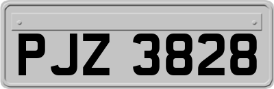 PJZ3828